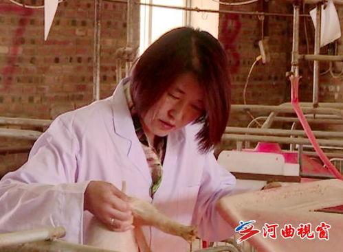 猪倌在线视频,揭秘现代养猪业的科技与智慧